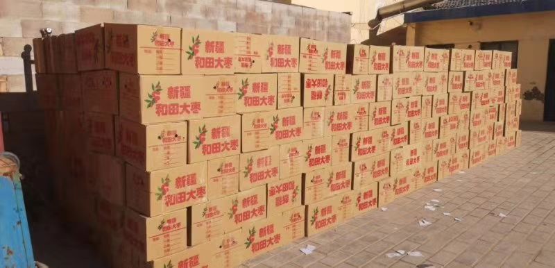 新疆大枣 新疆和田基地种植大枣天然绿色食品无增加剂口敢香甜营养价值高