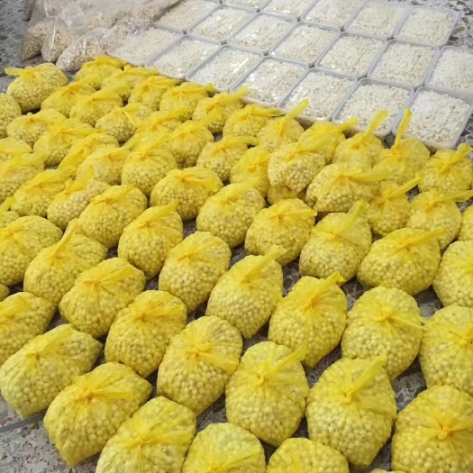 潮州鲜芡实  芡实，鸡头米，大小各式包装