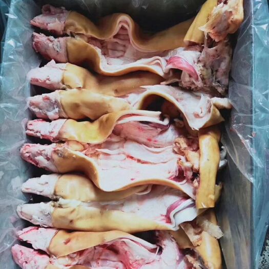 阳信县牛蹄筋 各种，牛蹄，去骨牛蹄