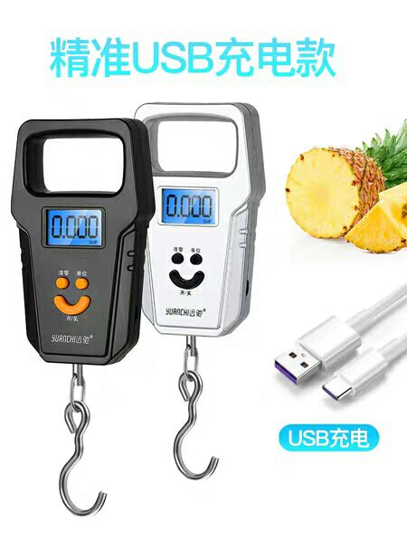 远驰迷你称重电子称 手提秤50kg电子秤便携式手提称挂钩称