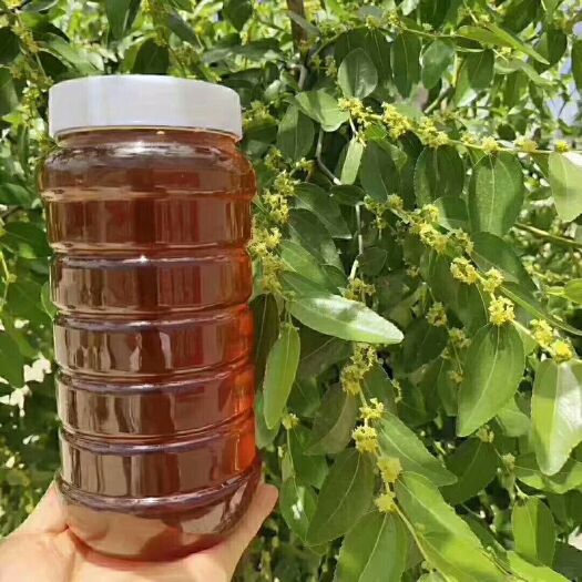 长葛市 蜂蜜