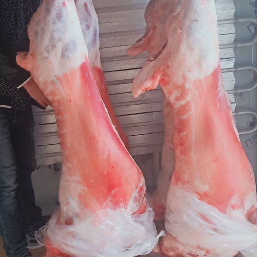 巴彦淖尔羊肉类 大公羊 西安泡馍店