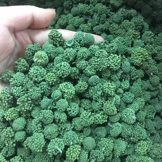 文山市 优质三七花