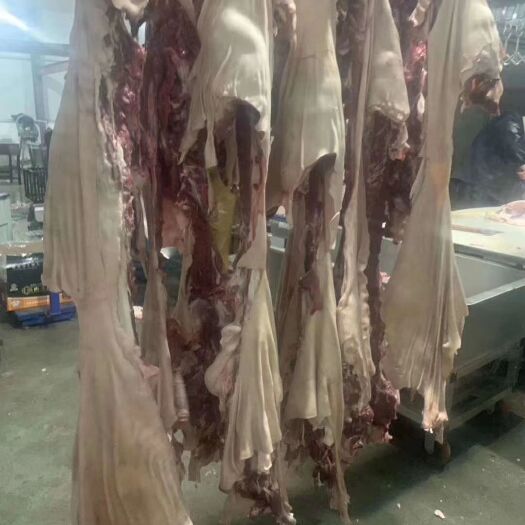中牟县羊肉类 带皮羊板肉