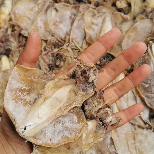 长沙 淡干墨鱼，墨鱼干小个