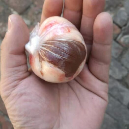 献县羊腰 包油腰子