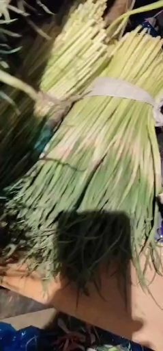 濮阳邳州蒜苔 邳州蒜薹加工热卖中