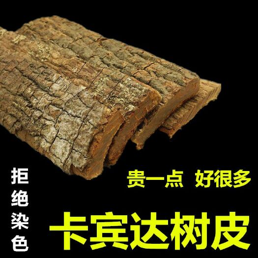 安哥拉树皮  老树皮  天然 男女性泡酒料煮水可配东革阿里