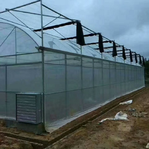 沭阳县连栋棚