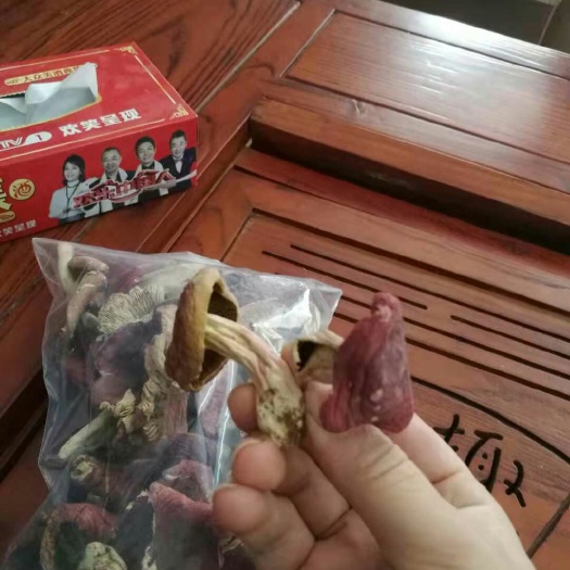 乐业县红菇 干货 野生 半开伞