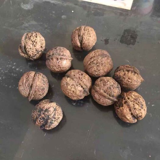 弥渡县云南核桃 货量10吨