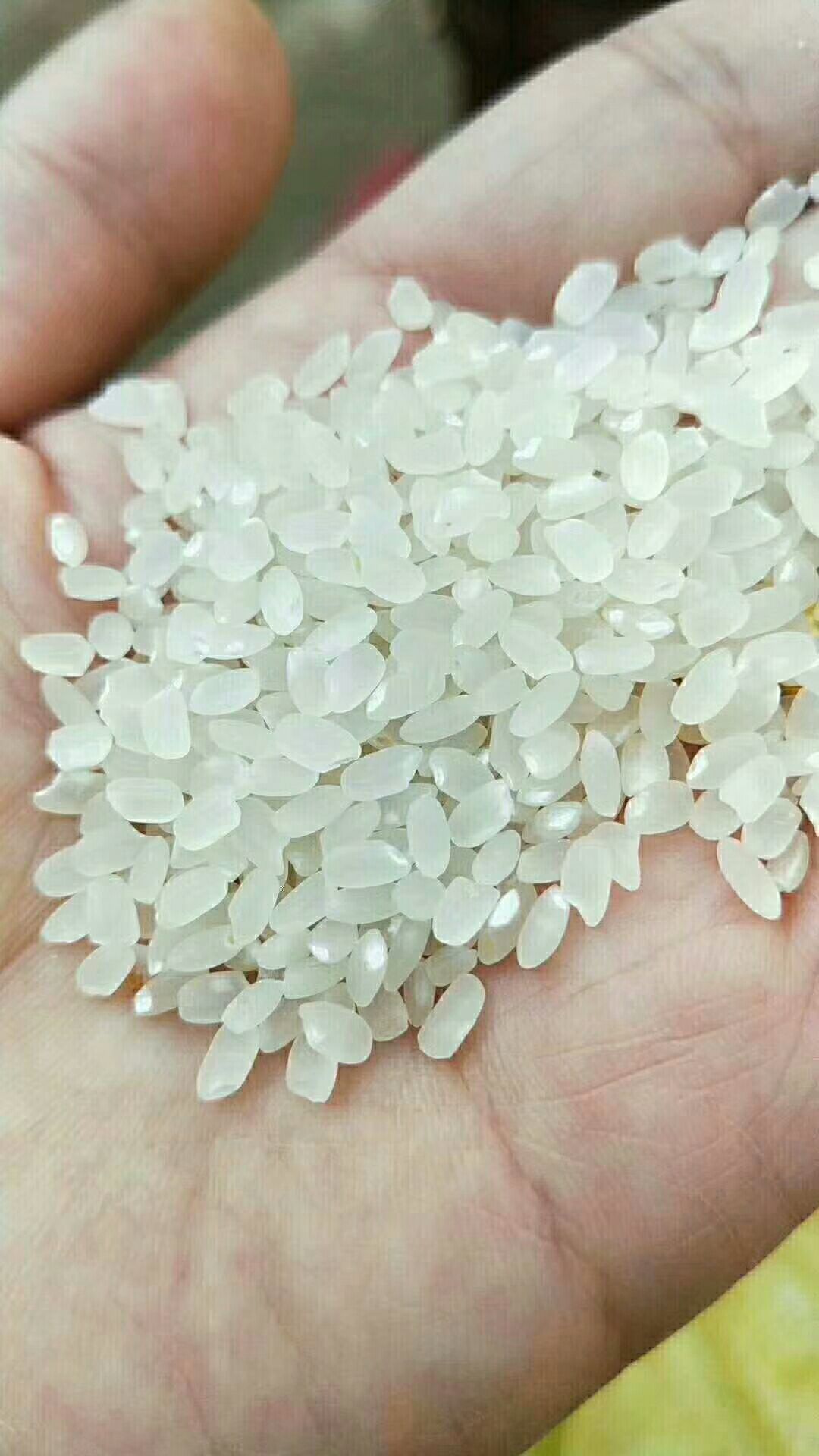  真正的高含量维生素大米