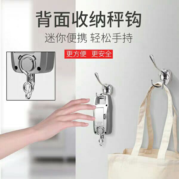 远驰迷你称重电子称 手提秤50kg电子秤便携式手提称挂钩称