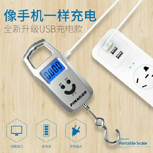 上海电子秤  远驰迷你称重电子称 手提秤50kg便携式手提称挂钩称快