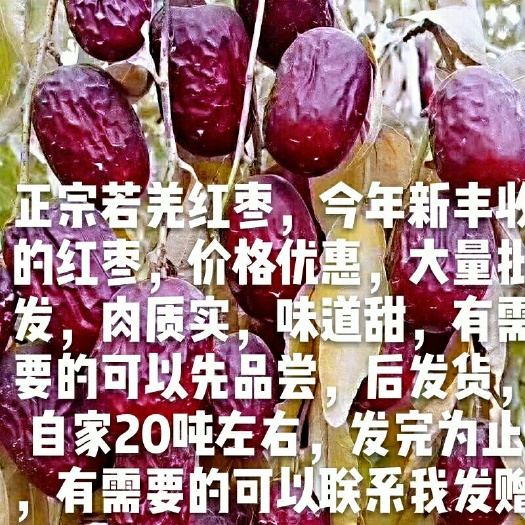 若羌县若羌灰枣 若羌特级灰枣