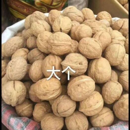 昆山市 新疆薄皮营养核桃