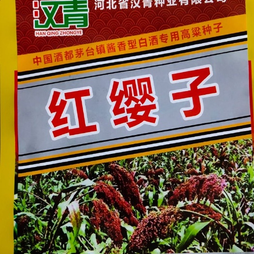 青县 批发各基温带优质酿酒高粱种子