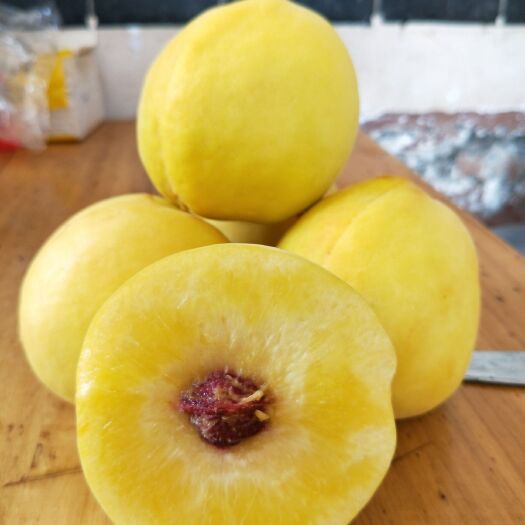 平邑县 小花黄金蜜4号