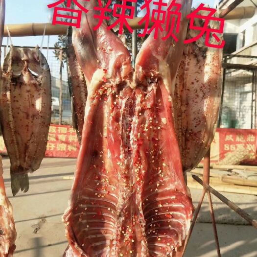 沙洋县兔子  九疑山家兔 腊兔