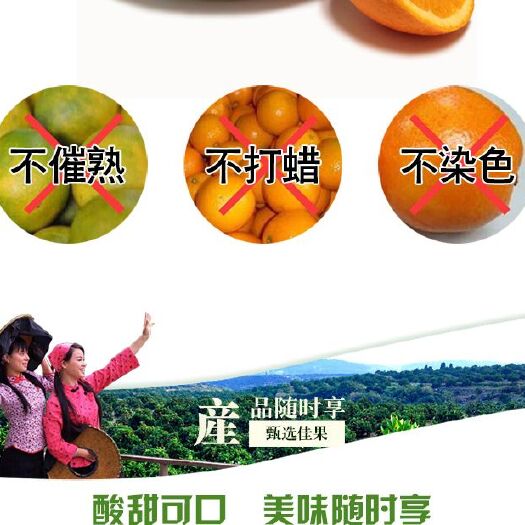 秭归县秭归脐橙 湖北秭归水田坝脐橙上市了