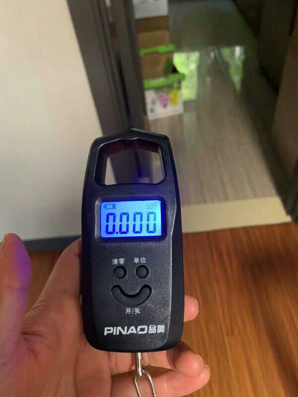 远驰迷你称重电子称 手提秤50kg电子秤便携式手提称挂钩称