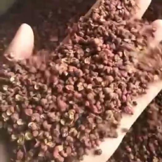 清徐县大红袍花椒 一级 干花椒