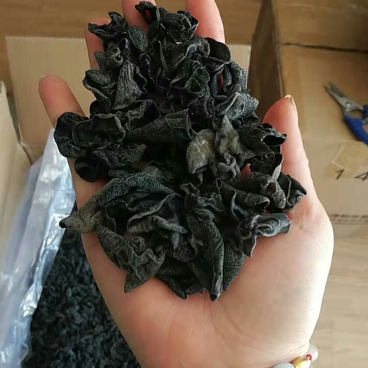 乐业县野生云耳 干木耳 一级
