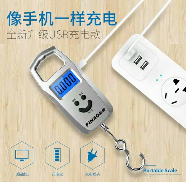 远驰迷你称重电子称 手提秤50kg电子秤便携式手提称挂钩称