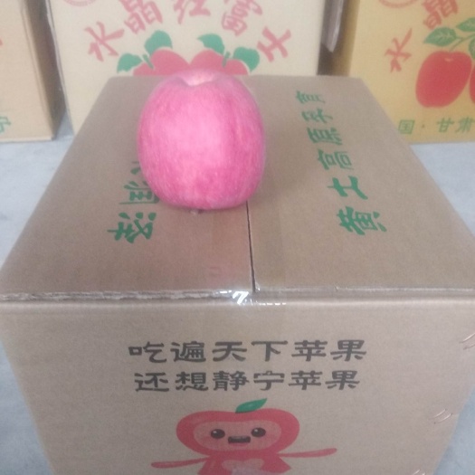  正宗静宁苹果自家果园种植网络直销