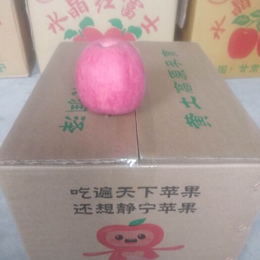 静宁县 正宗静宁苹果自家果园种植网络直销