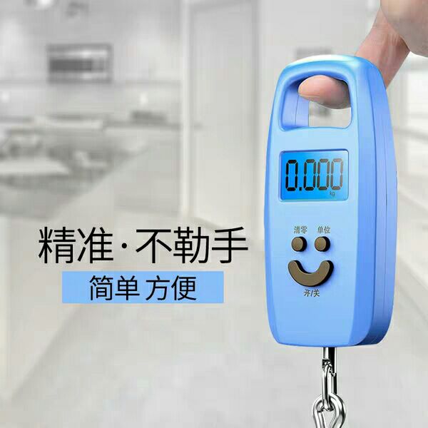 远驰迷你称重电子称 手提秤50kg电子秤便携式手提称挂钩称