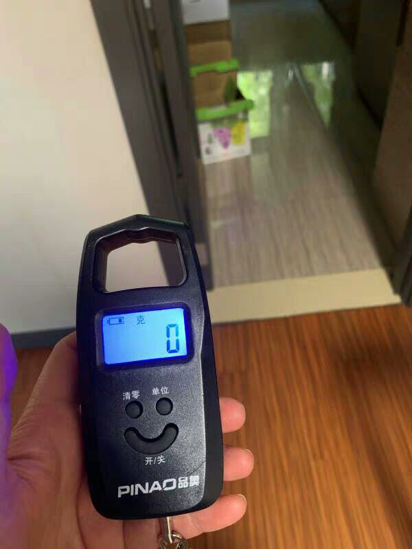 远驰迷你称重电子称 手提秤50kg电子秤便携式手提称挂钩称