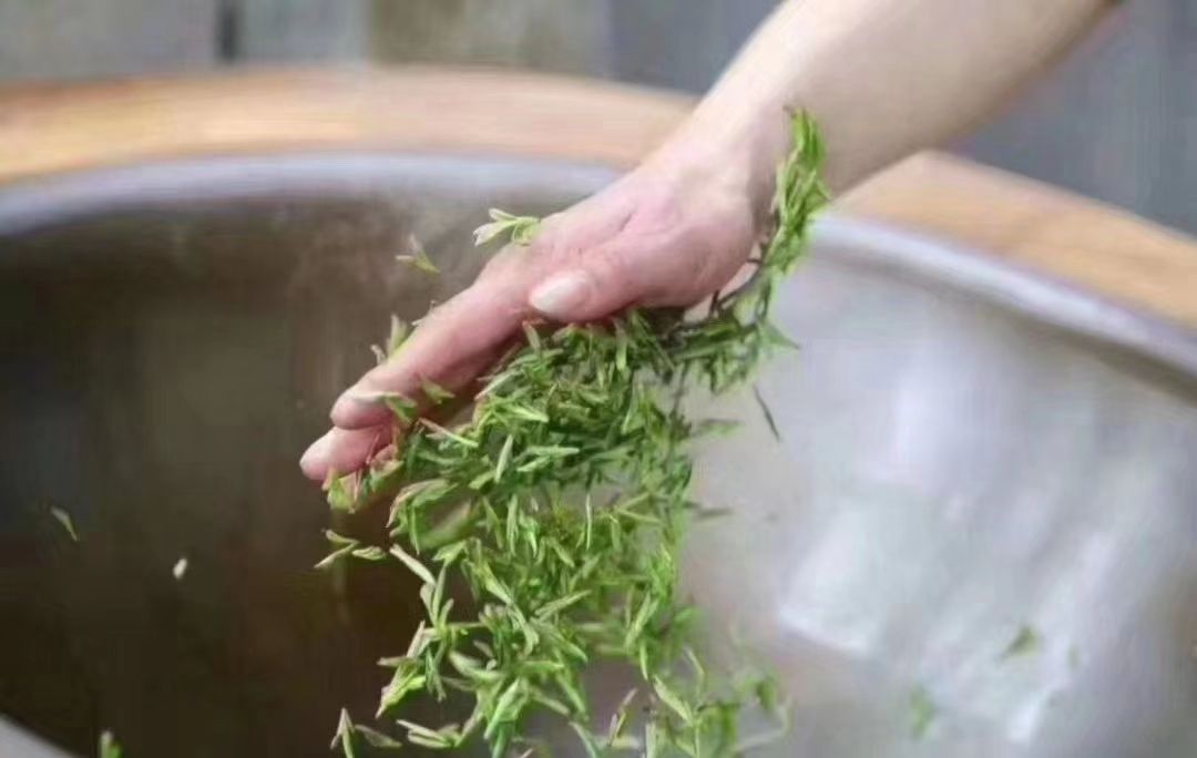  上犹绿茶，形美、色绿、味浓、汤清的独特风味，堪为茶中珍品！