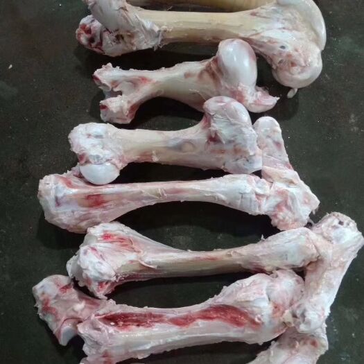 献县 牛棒骨，圆扁混装