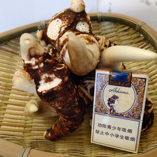 马关县 重楼