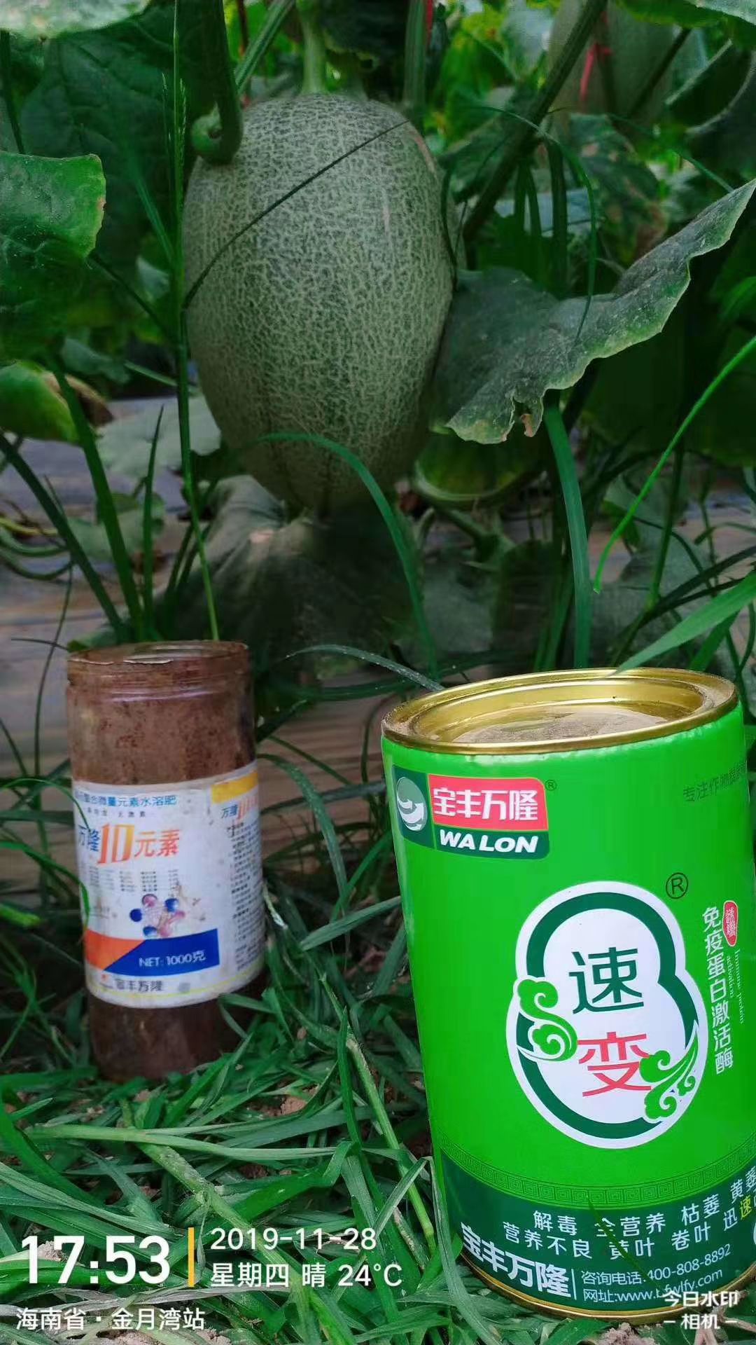 微量元素水溶肥  微量元素肥料 万隆10元素  10种鳌合微量元素复配 改善缺