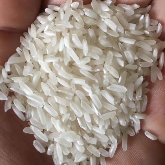 广州缅甸大米 二等品 晚稻 籼米