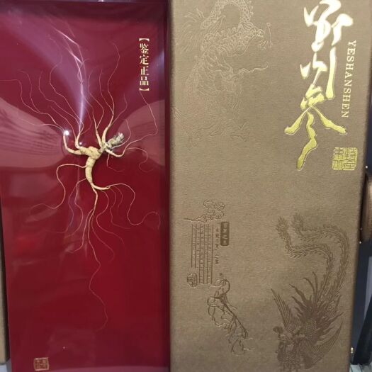 清原县移山参 60/80/100版高龄山参！