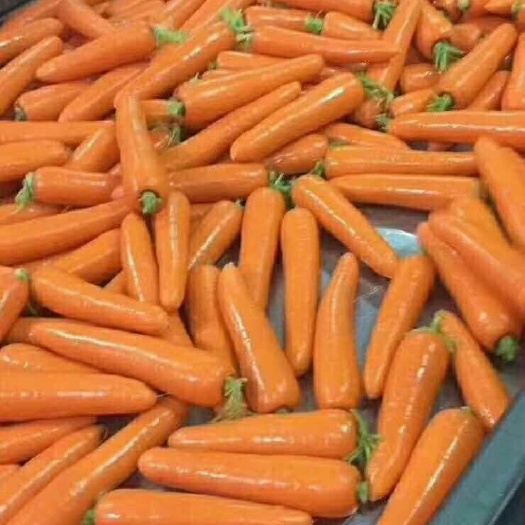 通许县 精品红萝卜价格便宜