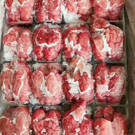 中牟县羊脑