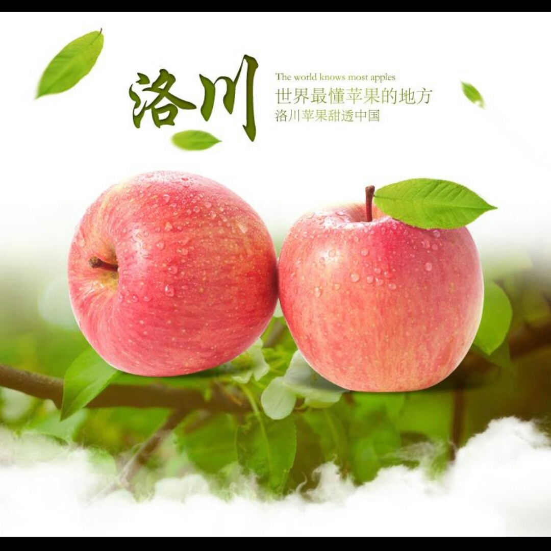  洛川红富士苹果