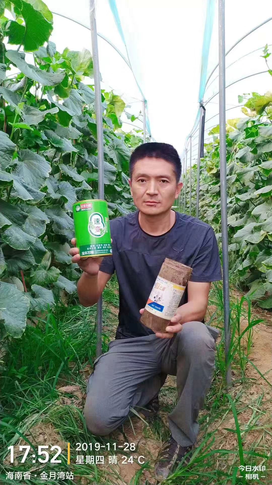 微量元素水溶肥  微量元素肥料 万隆10元素  10种鳌合微量元素复配 改善缺