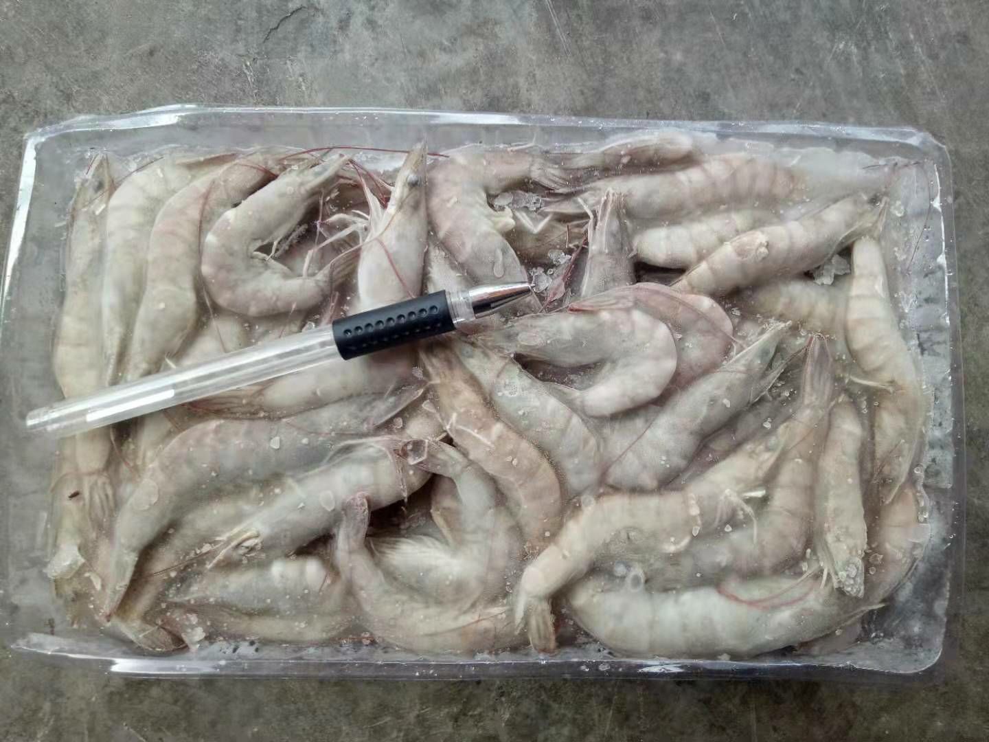 [冻虾批发] 冰鲜虾，冰冻虾，南美白，虾，基围虾价格17元\/袋 50袋起批