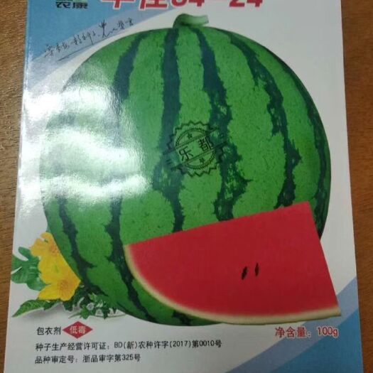 宿州8424西瓜苗 欢迎新老客户咨询洽谈
