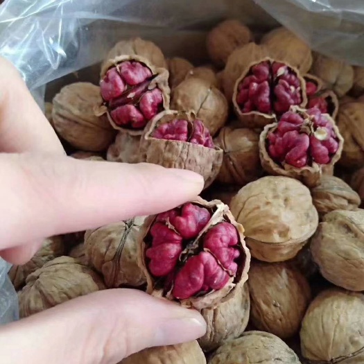 阿克苏市 新疆特产红皮核桃    红仁薄皮核桃500g