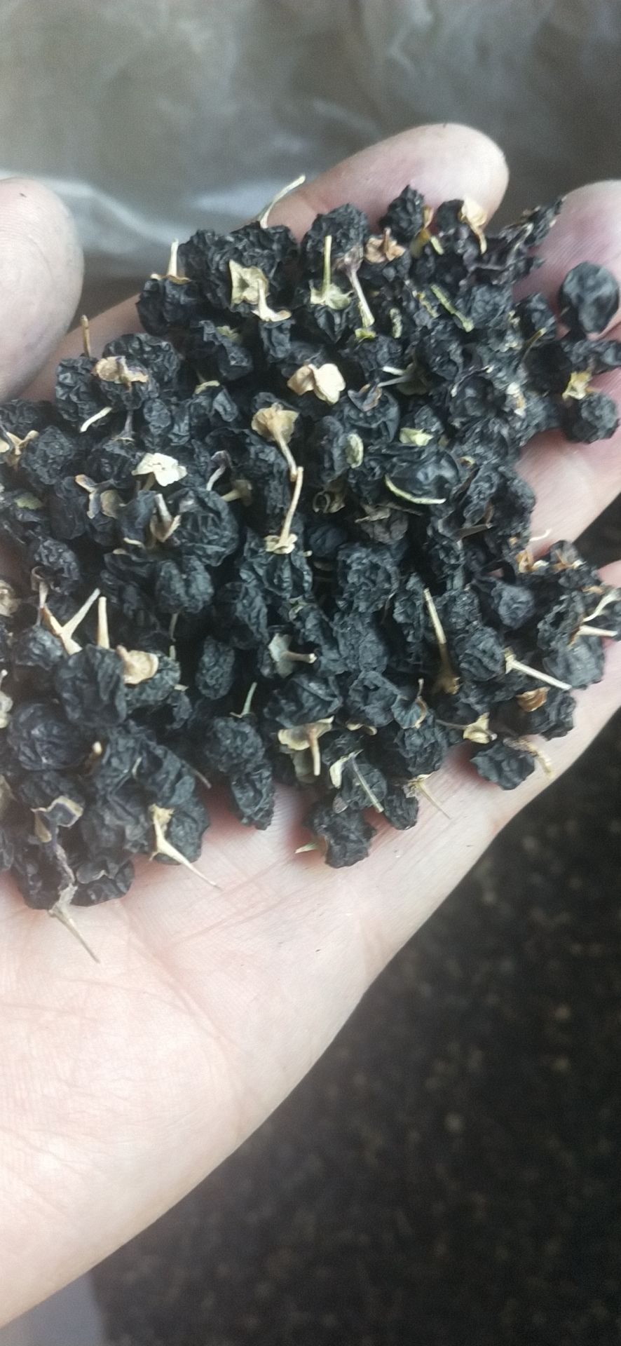 青海柴达木小颗粒黑枸杞，