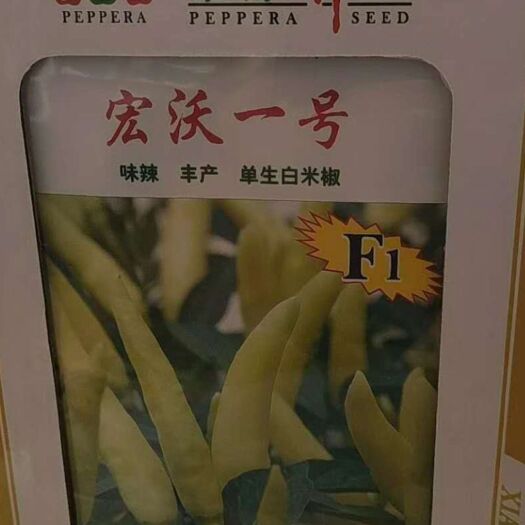 英德市泡椒种子 杂交种 ≥85%