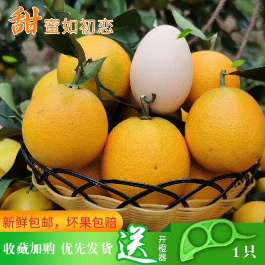 麻阳县 （一手货源，批发，一件代发）正宗麻阳富硒冰糖橙甜橙子