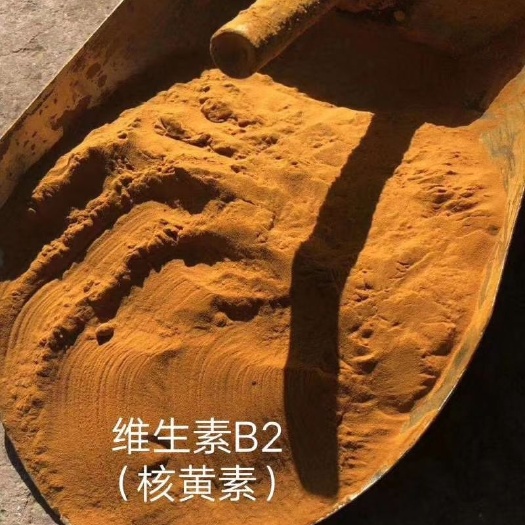 赤峰蛋白质饲料 维生素B2可代替部分玉米蛋白蛋白含量50，灰分12，