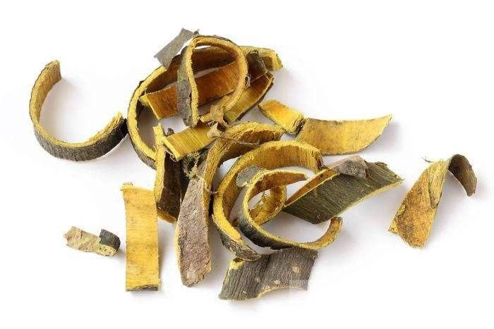 成都中药材川黄柏去皮带皮均有全干过筛有大货一斤起售
